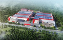 全球布局深化，创新引擎加速，菲诺植物基业务迈入高质量发展新阶段